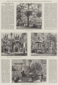 Colonial and Indian Exhibition, British Guiana, West Indies, and British Honduras by Frank Watkins